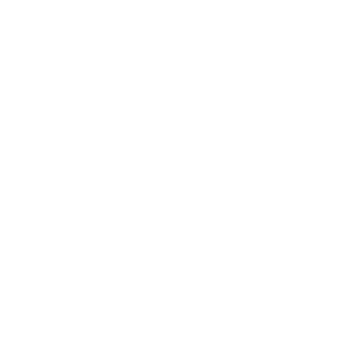 Raising Europe Icon